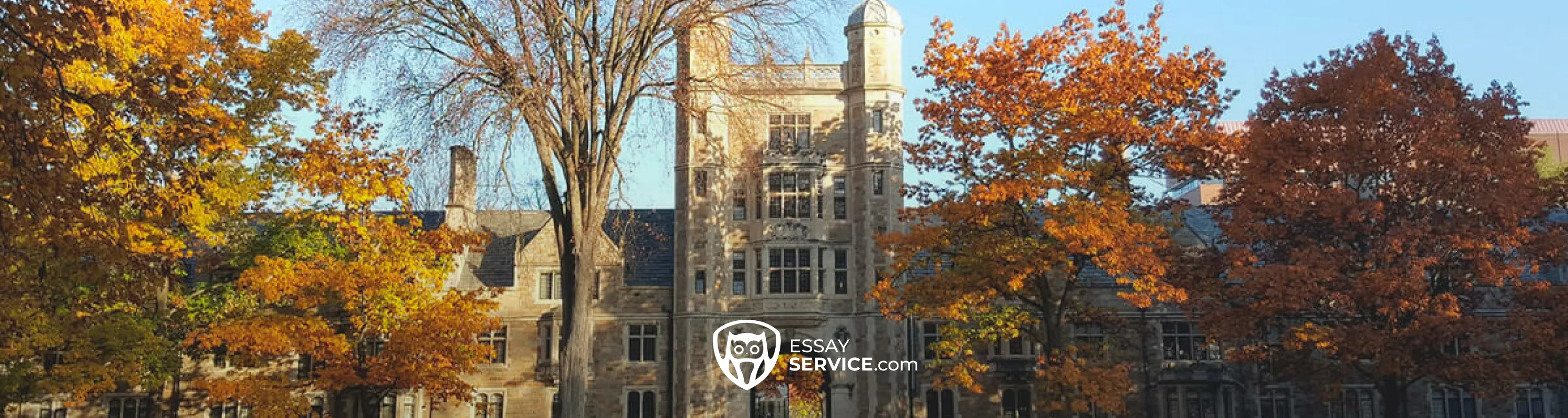 University of Michigan - Ann Arbor